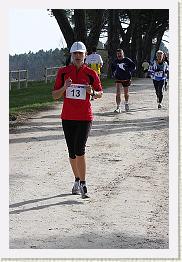 Fargues 15.02.09 3 372 * 320 x 480 * (80KB)